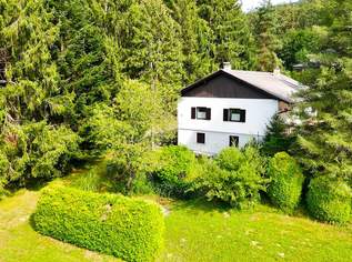 Einfamilienhaus mit Charme & ca. 3.133 m² großem Grundstück am Ortsrand von Hausmannstätten!, 488000 €, Immobilien-Häuser in 8071 Hausmannstätten