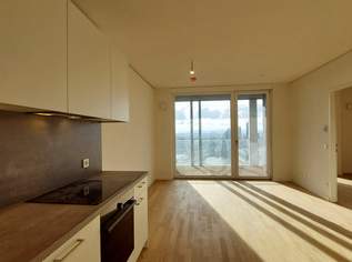 Exklusiver Erstbezug mit Rooftop Spa – TOWER HOMES, 1245 €, Immobilien-Wohnungen in 1220 Donaustadt