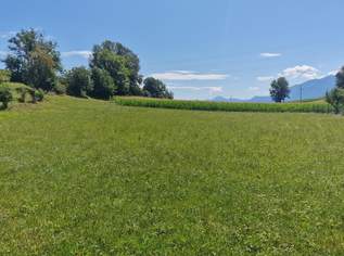 Traumhaftes, ca. 3.109 m² großes Baugrundstück mit Blick auf die Karawanken im Bezirk Völkermarkt, 184000 €, Immobilien-Grund und Boden in 9100 Völkermarkt
