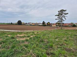 Attraktives Baugrundstück in Grünruhelage!, 208000 €, Immobilien-Grund und Boden in 2230 Gemeinde Gänserndorf Attraktives Baugrundstück in Grünruhelage!, 208000 €, Immobilien-Grund und Boden in 2230 Gemeinde Gänserndorf