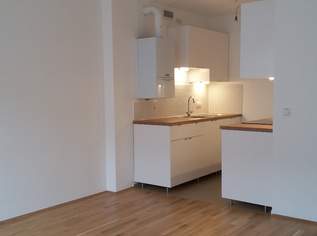 Neuwertige Single-Wohnung, 230000 €, Immobilien-Wohnungen in 1140 Penzing