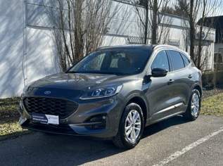 Kuga 2,5 Duratec FHEV AWD ST-Line X Aut., 28990 €, Auto & Fahrrad-Autos in 8435 Wagna Kuga 2,5 Duratec FHEV AWD ST-Line X Aut., 28990 €, Auto & Fahrrad-Autos in 8435 Wagna