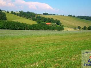 sehr schönes Grundstück in Dietersdorf bei Fürstenfeld, 50 €, Immobilien-Grund und Boden in 8282 Gillersdorf