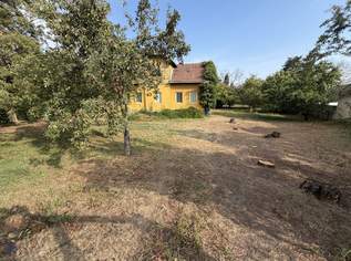Zwei Baugrundstücke oder Gesamtliegenschaft – Sie entscheiden!, 240000 €, Immobilien-Grund und Boden in 3441 Baumgarten am Tullnerfeld Zwei Baugrundstücke oder Gesamtliegenschaft – Sie entscheiden!, 240000 €, Immobilien-Grund und Boden in 3441 Baumgarten am Tullnerfeld