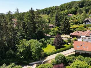 MAUERBACH-STEINBACH | Außergewöhnliche Liegenschaft in idyllischer Ruhe- & Parklage auf bis zu 4.242 m² Grund | ZELLMANN IMMOBILIEN, 1098000 €, Immobilien-Häuser in 3001 Gemeinde Mauerbach MAUERBACH-STEINBACH | Außergewöhnliche Liegenschaft in idyllischer Ruhe- & Parklage auf bis zu 4.242 m² Grund | ZELLMANN IMMOBILIEN, 1098000 €, Immobilien-Häuser in 3001 Gemeinde Mauerbach