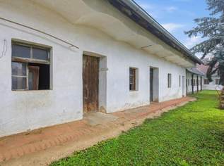 KAUFANBOT ANGENOMMEN!, 109000 €, Immobilien-Häuser in 2031 Eggendorf im Thale