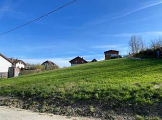 Grundstück in Raab, 65000 €, Immobilien-Grund und Boden in 4760 Raab