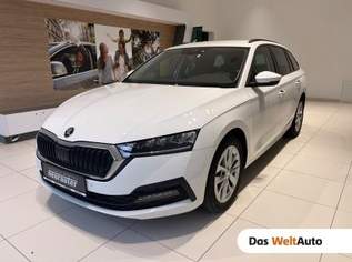 Octavia 4x4 Ambition TDI DSG, 23990 €, Auto & Fahrrad-Autos in 6410 Marktgemeinde Telfs