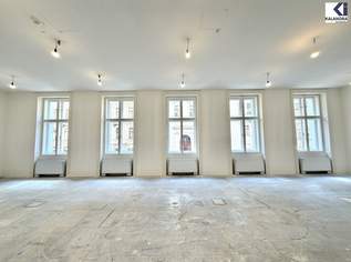 REPRÄSENTATIVES BÜRO NAHE RATHAUSPLATZ, 19734 €, Immobilien-Gewerbeobjekte in 1010 Innere Stadt