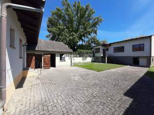 2 Häuser 1 Preis, 250000 €, Immobilien-Häuser in 7063 Oggau am Neusiedler See 2 Häuser 1 Preis, 250000 €, Immobilien-Häuser in 7063 Oggau am Neusiedler See