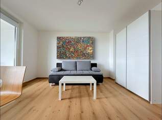 WIEN - DÖBLING : CITY APARTMENT (Nähe U4, Universität für Bodenkultur BOKU) ca. 36 m² + ca. 12 m² LOGGIA zzgl. TG-Stellplatz (E-Ladestation optional), 0 €, Immobilien-Wohnungen in 1190 Döbling