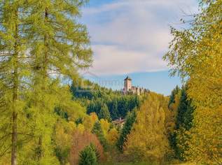 Zwischen Burgblick und Waldesruh – ein Zuhause mit Geschichte, 365000 €, Immobilien-Häuser in 3911 Gemeinde Rappottenstein Zwischen Burgblick und Waldesruh – ein Zuhause mit Geschichte, 365000 €, Immobilien-Häuser in 3911 Gemeinde Rappottenstein