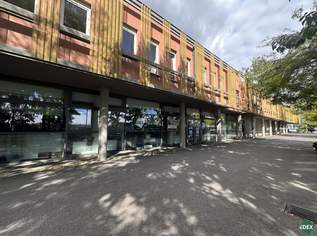 Repräsentative Gewerbefläche mit vielfältigen Nutzungsmöglichkeiten auf der Simmeringer Hauptstraße!, 5000 €, Immobilien-Gewerbeobjekte in 1110 Simmering