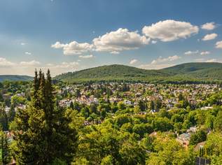 CHRISTOPH CHROMECEK IMMOBILIEN - 1140 Wien - SATZBERG - Einfamilienhaus mit herrlichem Fernblick!, 590000 €, Immobilien-Häuser in 1140 Penzing CHRISTOPH CHROMECEK IMMOBILIEN - 1140 Wien - SATZBERG - Einfamilienhaus mit herrlichem Fernblick!, 590000 €, Immobilien-Häuser in 1140 Penzing