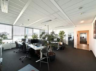 1190 Geschäftshaus Skyline: Tolle Bürofläche (teilbar) ab April 2025 direkt bei U4/Station Spittelau!, 32865 €, Immobilien-Gewerbeobjekte in 1190 Döbling