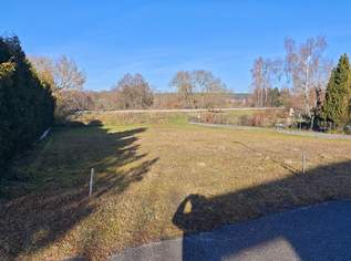 Günstiger, sonniger Baugrund in der Nähe von Gmünd/NÖ Günstiger, sonniger Baugrund in der Nähe von Gmünd/NÖ