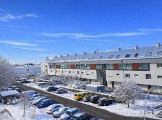 "Single- oder Pärchen-Wohnung!", 800 €, Immobilien-Wohnungen in 2345 Brunn am Gebirge