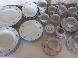 Kombiservice Seltmann Weiden Sonate