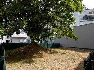 Wunderschöner Eigengarten - gleich bei U6 Am Schöpfwerk! - G6, 239 €, Immobilien-Grund und Boden in 1120 Meidling Wunderschöner Eigengarten - gleich bei U6 Am Schöpfwerk! - G6, 239 €, Immobilien-Grund und Boden in 1120 Meidling