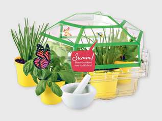 Kosmos Kräuter-Garten, 9.4 €, Haus, Bau, Garten-Balkon & Garten in Österreich