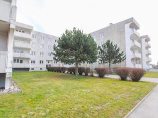 3 Zimmerwohnung mit Loggia in St. Pölten, 733.66 €, Immobilien-Wohnungen in 3100 Stattersdorf
