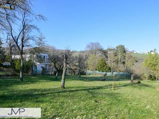 Schönes, größeres Kleingartengrundstück in absoluter Ruhelage - mit PKW direkt erreichbar!, 0 €, Immobilien-Grund und Boden in 1190 Döbling