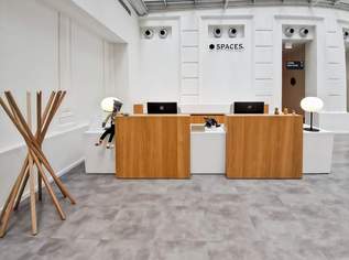 Alles, was Sie für Ihr Unternehmenswachstum brauchen – in Spaces Schwarzenbergplatz Alles, was Sie für Ihr Unternehmenswachstum brauchen – in Spaces Schwarzenbergplatz