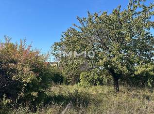 Sonniges, ebenes Baugrundstück in TOP Lage in St. Pölten/Wagram mit Altbestand, 369000 €, Immobilien-Grund und Boden in 3100 Stattersdorf Sonniges, ebenes Baugrundstück in TOP Lage in St. Pölten/Wagram mit Altbestand, 369000 €, Immobilien-Grund und Boden in 3100 Stattersdorf