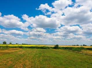 Große Freiheit, 298000 €, Immobilien-Grund und Boden in 7092 Gemeinde Winden am See