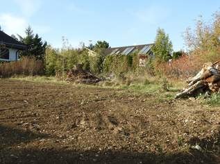 Aufgeschlossener Baugrund in Neulengbacher Siedlungslage, 380000 €, Immobilien-Grund und Boden in 3040 Katastralgemeinde Neulengbach Aufgeschlossener Baugrund in Neulengbacher Siedlungslage, 380000 €, Immobilien-Grund und Boden in 3040 Katastralgemeinde Neulengbach