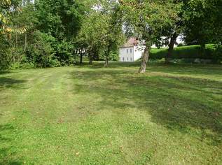 2 Bauparzellen im Ortskern ohne Bauzwang in Weistrach, 67500 €, Immobilien-Grund und Boden in 3351 Weistrach