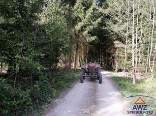 Schöner Wald!, 0 €, Immobilien-Grund und Boden in 3124 Oberwölbling Schöner Wald!, 0 €, Immobilien-Grund und Boden in 3124 Oberwölbling