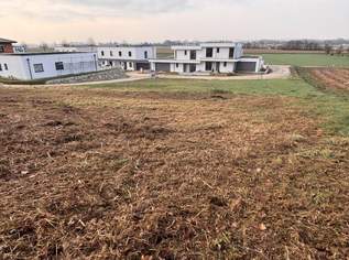 Grundstück für Einfamilienhaus - Doppelhaus oder Kleinhausbau mit 3 Einheiten, 179000 €, Immobilien-Grund und Boden in 4320 Perg Grundstück für Einfamilienhaus - Doppelhaus oder Kleinhausbau mit 3 Einheiten, 179000 €, Immobilien-Grund und Boden in 4320 Perg