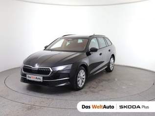 Octavia Selection TDI DSG, 36490 €, Auto & Fahrrad-Autos in 8792 St. Peter-Freienstein
