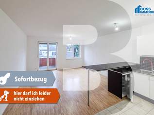 Solo, 687 €, Immobilien-Wohnungen in 4050 Traun Solo, 687 €, Immobilien-Wohnungen in 4050 Traun