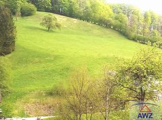 Geldanlage in Grund und Boden in Waidhofen an der Ybbs, 25 €, Immobilien-Grund und Boden in 3340 Gemeinde Waidhofen an der Ybbs