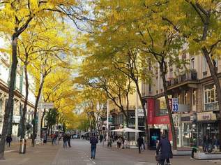 Gastro Light - Geschäft- Fußgängerzone - Toplage, 18100 €, Immobilien-Gewerbeobjekte in 1060 Mariahilf