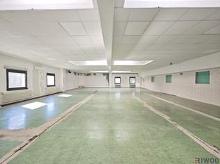 U-Bahnnähe im Betriebsgebiet Liesing | ca. 417m² Büro mit frei einteilbarer Fläche, 5216.5 €, Immobilien-Gewerbeobjekte in 1230 Liesing