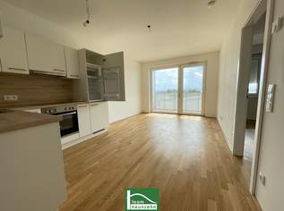 Wohnen im Einklang von Stadt und Natur – Ihre neue Adresse in Wiener Neustadt, 999 €, Immobilien-Wohnungen in Niederösterreich