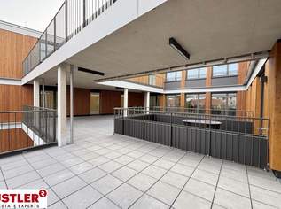 Bürofläche in Mödling nahe HTL, 2220.06 €, Immobilien-Gewerbeobjekte in 2340 Gemeinde Mödling Bürofläche in Mödling nahe HTL, 2220.06 €, Immobilien-Gewerbeobjekte in 2340 Gemeinde Mödling