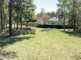 Bauland direkt am Wald, wenn man Ruhe und gute Luft mag (kein Bauzwang, aufgeschlossen, privat)