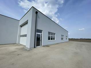 LKW Werkstatt/Halle PROVISIONSFREI!! mit Dachkuppel und Sektionaltor 25m lang (Halle T3), 2450 €, Immobilien-Gewerbeobjekte in 2601 Sollenau