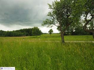NEUBAU: Reihenhaus mit Garten in wunderbar ruhiger Lage nahe Ried im Innkreis. Preiswerter Qualitätsbau!, 359000 €, Immobilien-Häuser in 4922 Geiersberg NEUBAU: Reihenhaus mit Garten in wunderbar ruhiger Lage nahe Ried im Innkreis. Preiswerter Qualitätsbau!, 359000 €, Immobilien-Häuser in 4922 Geiersberg