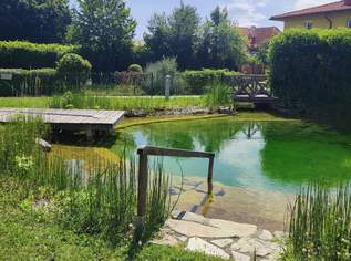 Exquisites Wohnen mit großzügiger Sonnen-Terrasse und Schwimmbiotop, 516000 €, Immobilien-Wohnungen in 2500 Gemeinde Baden