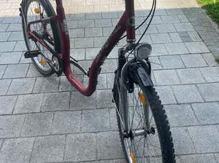 Damen-Fahrrad Damen-Fahrrad