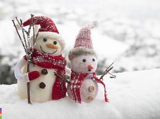 SO GÜNSTIG, DA TAUT SOGAR DER SCHNEEMANN! 6,5% WINTERRABATT!, 337421 €, Immobilien-Wohnungen in 1220 Donaustadt