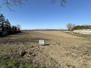 Baugrund am Ortsrand zu verkaufen, 158775 €, Immobilien-Grund und Boden in 7201 Neudörfl Baugrund am Ortsrand zu verkaufen, 158775 €, Immobilien-Grund und Boden in 7201 Neudörfl