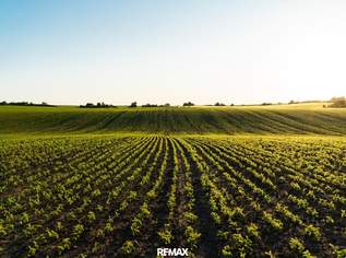 "Biologische Landwirtschaft!", 538000 €, Immobilien-Gewerbeobjekte in 2325 Katastralgemeinde Himberg "Biologische Landwirtschaft!", 538000 €, Immobilien-Gewerbeobjekte in 2325 Katastralgemeinde Himberg
