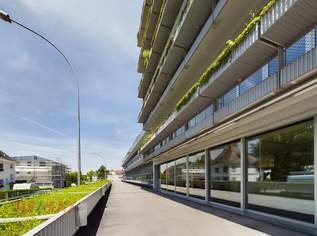 Attraktives Geschäftslokal in hochfrequentierter Lage, 0 €, Immobilien-Gewerbeobjekte in 6900 Bregenz Attraktives Geschäftslokal in hochfrequentierter Lage, 0 €, Immobilien-Gewerbeobjekte in 6900 Bregenz