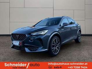 Formentor 2,0 TSI 4Drive Cupra DSG, 28888 €, Auto & Fahrrad-Autos in 4532 Rohr im Kremstal